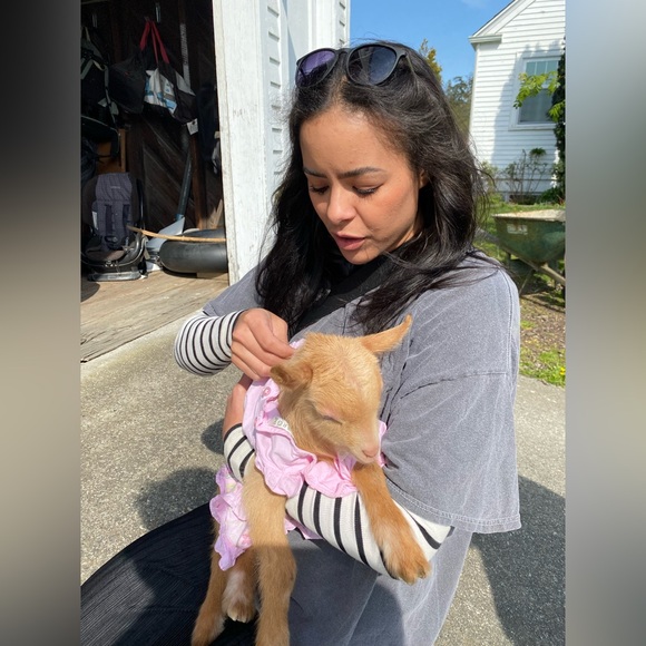 Meet your Posher, Skilar - Picture 2 of 4